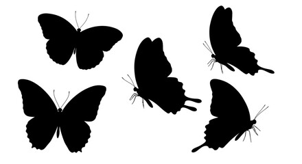 Poster - Elegant flying black butterfly silhouettes vector collection on white background