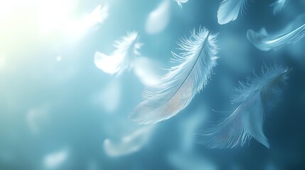 Poster - Ethereal white feathers floating against dreamy turquoise background with soft bokeh lights create peaceful, spiritual atmosphere for wellness and meditation designs.