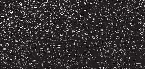 Wall Mural - Small water drops texture vector. Rainy window overlay texture. Rain on glass background. Abstract halftone textured effect. Vector Illustration. EPS10.