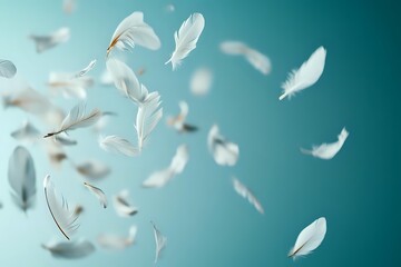 Poster - White feathers floating gracefully against turquoise blue background, creating ethereal atmosphere with soft focus and dreamy motion blur effect.