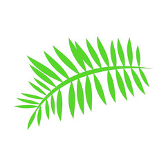 Poster - Tropical Green Palm Leaf Illustration on Transparent Backdrop A Vibrant Botanical Element for Summer Designs and Nature-Inspired Graphic Projects and Creative Art