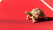 © vannet - Dynamic tortoise sprinting along crisp red track lanes