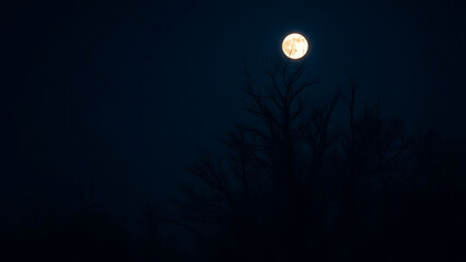 Wall Mural - Dark Night Sky with Silhouetted Leafless Trees and Full Moon