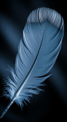 Poster - Close-up of single light-blue feather, delicate texture, intricate detail, showcasing lightness, airiness, and fragility, symbolizing freedom, hope, and peace