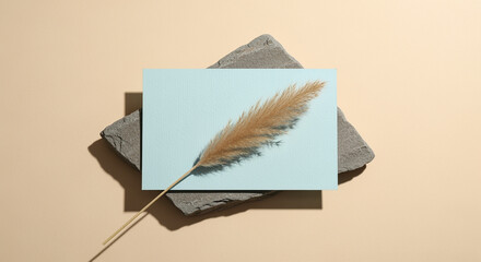 Poster - Pampas grass on a light blue card on a stone