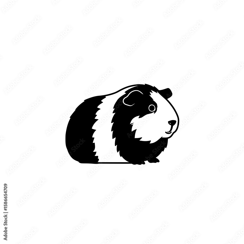 Guinea pig vector illustration, pets concept. Types of animals ...