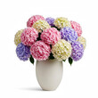© Ludmila - Elegant floral arrangement with hydrangea in ceramic vase isolated on white background