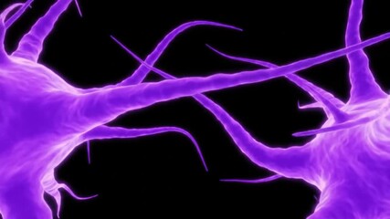 Poster - Purple Neurons Interconnected Under Microscope on Black Background Nerve Cell Biological Network