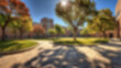 © Adi - blurry school yard, with a yard full of trees and sunny weather, blurry school yard background