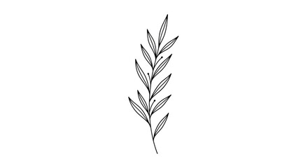 Poster - Vector botanical line art drawing of a delicate leaf branch for minimalist design and nature inspired illustrations