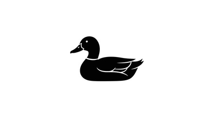 Poster - Vector discover black duck vector illustration for graphic design projects and wildlife themed designs and artworks