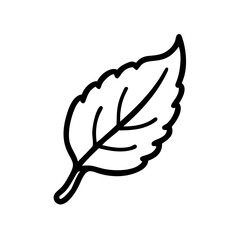 Poster - Detailed Line Art Illustration of a Single Leaf with Intricate Veins and Serrated Edges on a Transparent Backdrop, Ideal for Botanical Studies and Design Projects