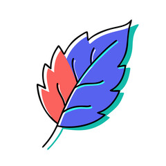 Poster - A Striking Illustration of Two Colorful Leaves with Bold Black Outlines, Showcasing a Modern Aesthetic and a Playful Combination of Red and Blue Tones