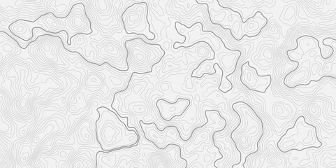 Poster - Abstract curve topo style contour line white background with light gray topographic lines creating an abstract pattern and texture effect.