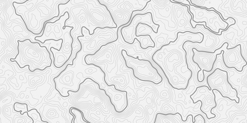 Leinwandbilder - Abstract curve topo style contour line white background with light gray topographic lines creating an abstract pattern and texture effect.