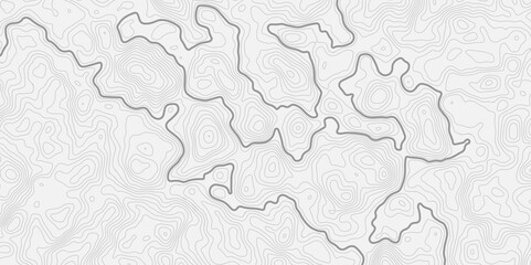 Leinwandbilder - modern style topographic map with light gray contour lines on a white background creating a smooth surface element topo design.