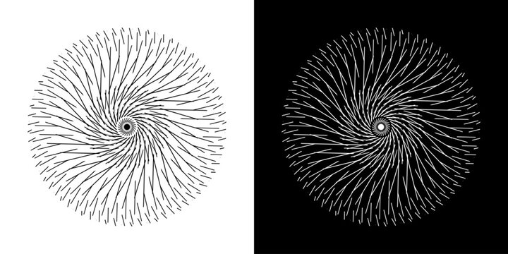 Abstract background with line pattern forming circle. Spiral art design as logo or icon. Black lines on white background and same white lines on black side. Mandala with line pattern.	
