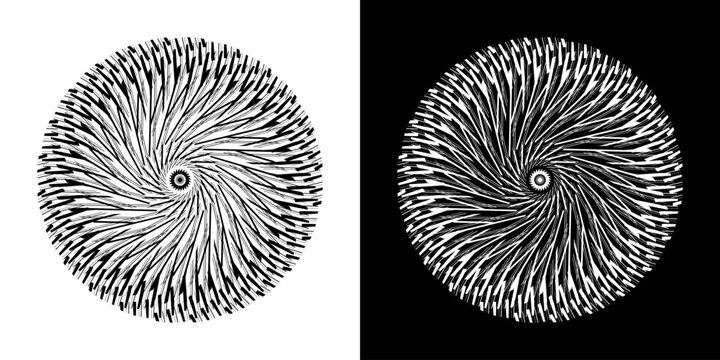 Abstract background with line pattern forming circle. Spiral art design as logo or icon. Black lines on white background and same white lines on black side. Mandala with line pattern.	
