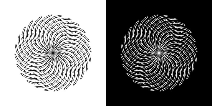 Abstract background with line pattern forming circle. Spiral art design as logo or icon. Black lines on white background and same white lines on black side. Mandala with line pattern.	
