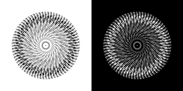 Abstract background with line pattern forming circle. Spiral art design as logo or icon. Black lines on white background and same white lines on black side. Mandala with line pattern.	
