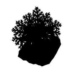 silhouette tree foliage plant vegetation nature garden vector