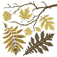 Poster - Elegant botanical illustration featuring a collection of leaves, tree branches, and ferns, perfect for autumn themed design projects.