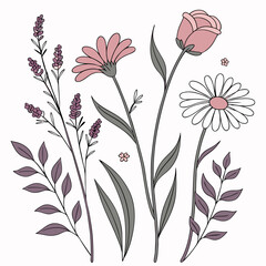 Poster - Stylized botanical illustration featuring a collection of blooming flowers with elegant line art elements on a clean white background for design.
