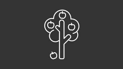 Poster - Animated tree with ripe apples white line icon. Cultivating organic fruits animation. Orchard crop. Harvesting farm products in garden. Isolated element on dark background. Alpha transparent video