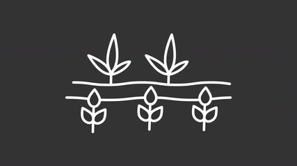Poster - Animated different plants in field white line icon. Intercropping agricultural method animation. Polyculture plantation. Agroforestry. Isolated element on dark background. Alpha transparent video