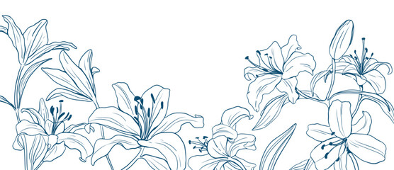 Wall Mural - Flower hand drawn on white background vector. Natural botanical elegant lily floral with blue line art. Luxury illustration for decoration, wall decor, wallpaper, cover, banner, package, card.