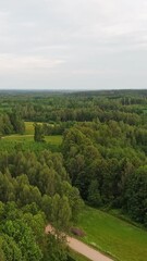 Wall Mural - Vertical View Of Dense Green Forest In The Countryside with bird flying. - aerial ascend shot
