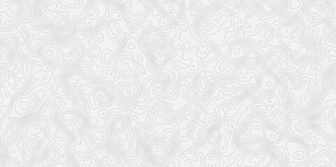 Leinwandbilder - Abstract modern stylized topo contour line topographic map lines pattern on a white background creating a minimal design element for wallpaper map background.
