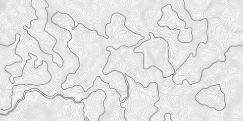 Leinwandbilder - Abstract modern stylized topo contour line topographic map lines pattern on a white background creating a minimal design element for wallpaper map background.
