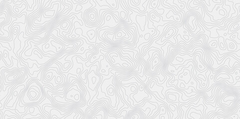Leinwandbilder - minimalist white background with contour lines with geographic mapping contour line creating an abstract topographic map design effect.
