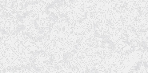 Leinwandbilder - minimalist white background with contour lines with geographic mapping contour line creating an abstract topographic map design effect.
