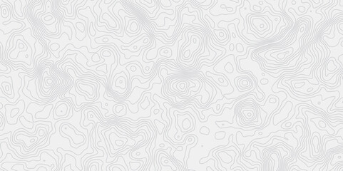 Leinwandbilder - minimalist white background with contour lines with geographic mapping contour line creating an abstract topographic map design effect.
