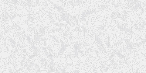 Leinwandbilder - minimalist white background with contour lines with geographic mapping contour line creating an abstract topographic map design effect.
