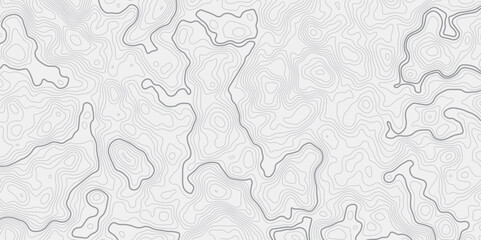 Leinwandbilder - Abstract modern stylized topo contour line topographic map lines pattern on a white background creating a minimal design element for wallpaper map background.
