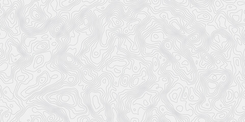 Poster - minimalist white background with contour lines with geographic mapping contour line creating an abstract topographic map design effect.
