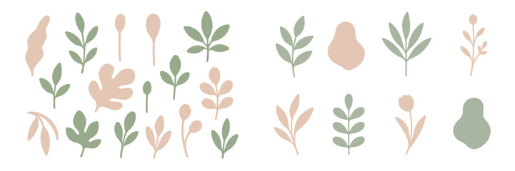 Poster - Various organic shapes and leaves in a minimalist style featuring soft color palettes of green and beige for artistic decoration