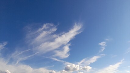Wall Mural - photo of cumulus and cirrus clouds