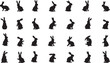 © mdthasinhasan - Rabbit Silhouettes in Motion: Graceful Hops and Still Poses