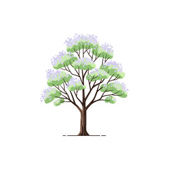 isolated jacaranda tree with green leaves and purple flowers, concept for architecture design, lands