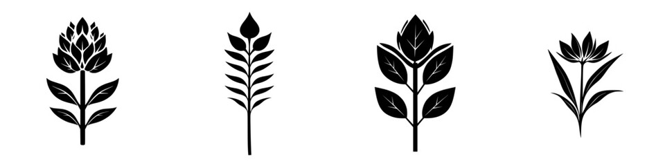 Poster - Botanical illustrations of four distinct plant icons featuring various floral designs in black
