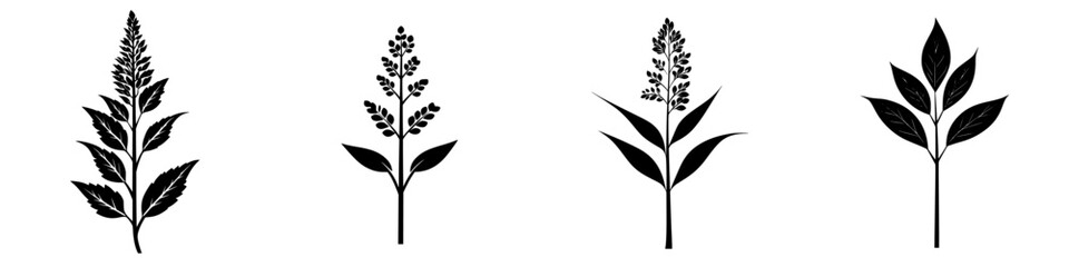 Poster - Black icons of various plant silhouettes showcasing intricate leaf designs in a minimalist style suitable for graphic art or nature-themed projects