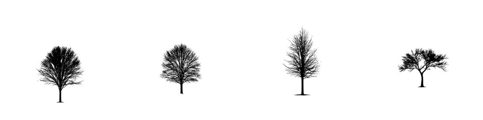 Poster - Four distinct black tree silhouettes are arranged in a row against a plain white background