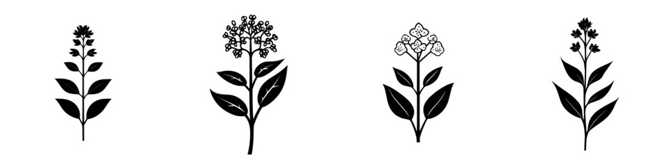 Poster - Collection of black flower icons showcasing various floral designs, suitable for digital art projects and graphic design