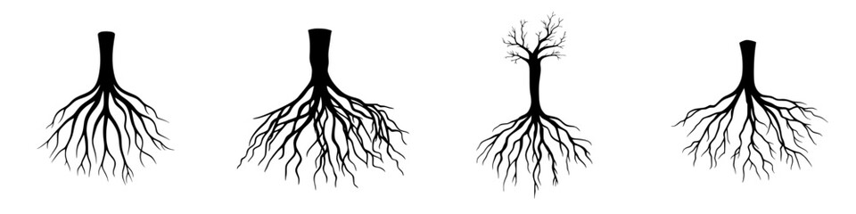 Poster - Series of black tree roots icons illustrating various root structures in a minimalist design for educational or artistic use