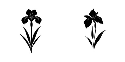Poster - Black floral illustration showcasing two distinct iris designs on a simple background
