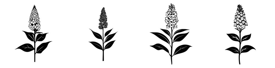 Poster - Black botanical icons showcasing different stages of blooming flowers against a white background